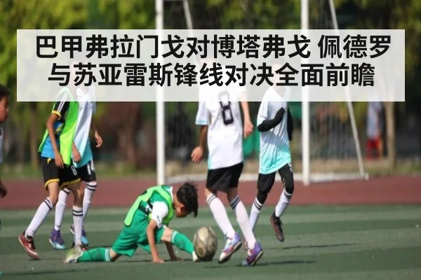 巴甲弗拉门戈对博塔弗戈 佩德罗与苏亚雷斯锋线对决全面前瞻